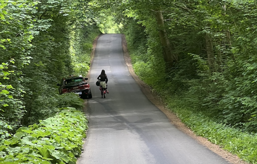 Bedst som det gik, holdt det op. Lasse Karlshøj og Isabell Kvick måtte desværre allerede på den anden hastighedsprøve i Rally Sønderjylland parkere bilen efter en mislykket bremsemanøvre.
(Foto: Lars Krone)